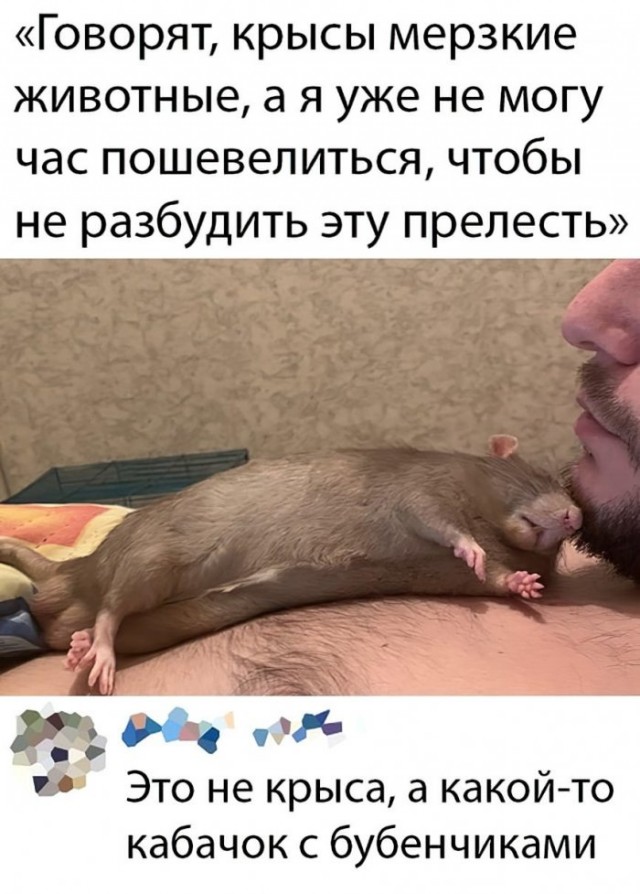 Немного картинок для настроения 24.04.20