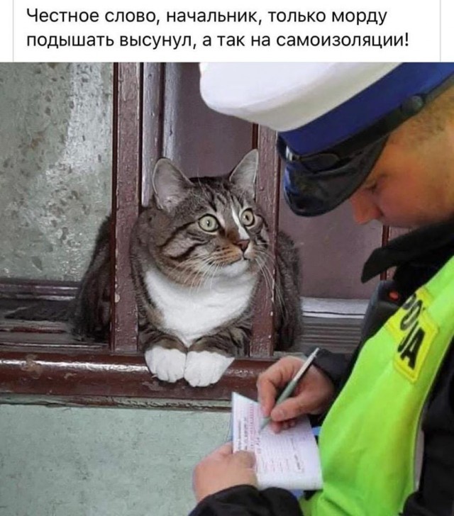 Немного картинок для настроения 28.04.20