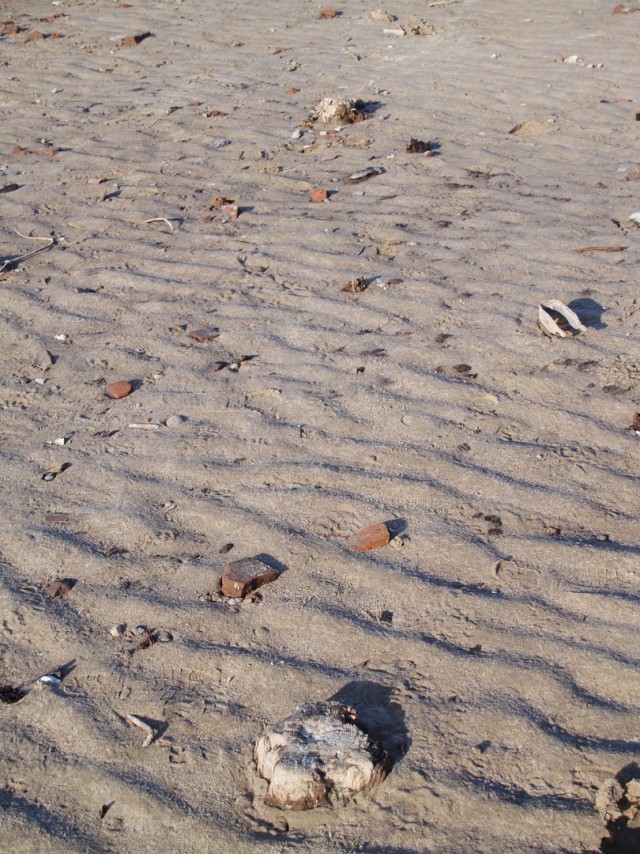 Прогулка по дну Обского водохранилища