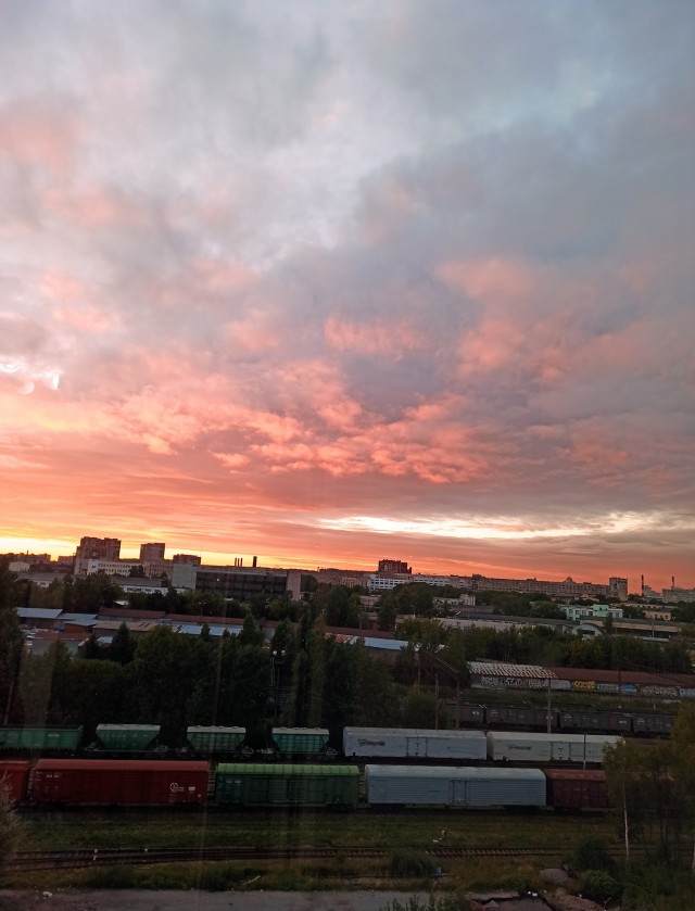 10 лет брака псу под хвост
