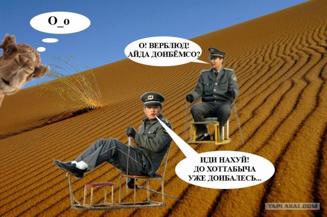 Битва фотожаберов (Команда №2)