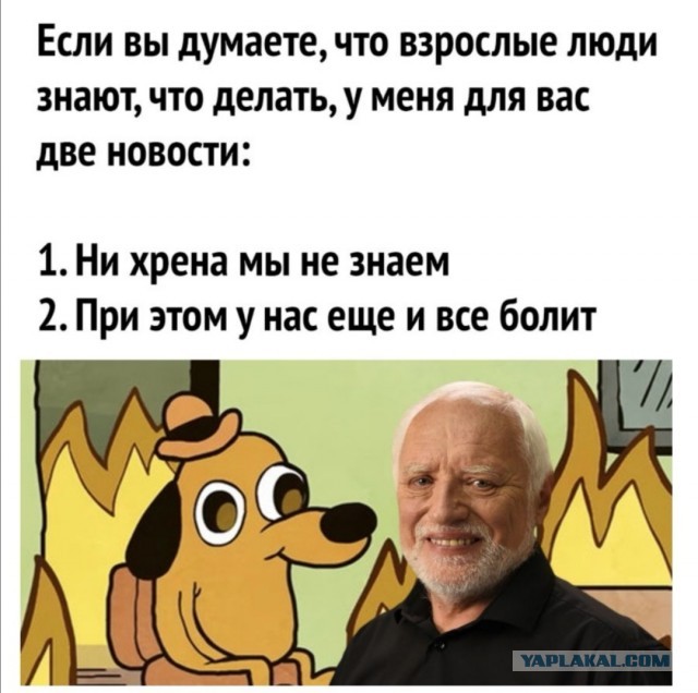 Бредзона 06.11.2020