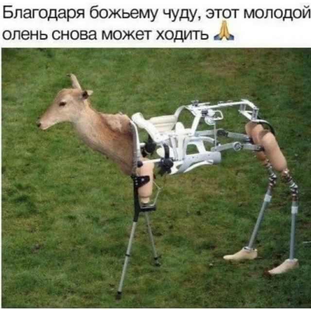 Ещё немного лайтовой чернушки не желаете?