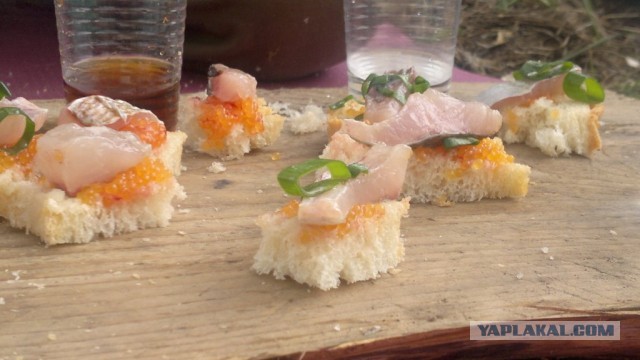 На конягах по Алтаю