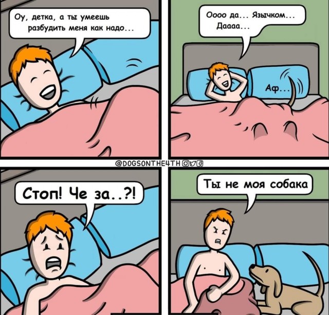 Сегодня совсем лайтово