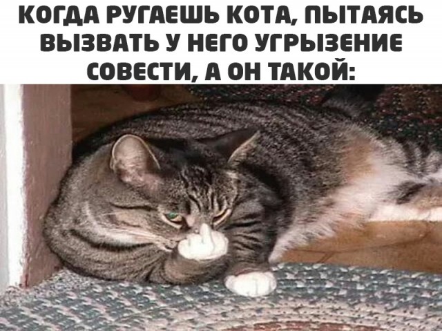 Кретинизмы из сети 10.03.21