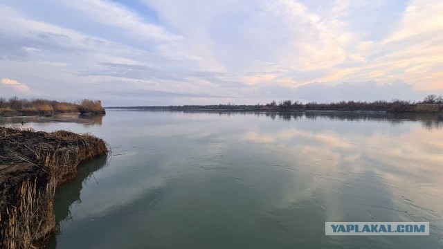 Иртыш, немного рыбки
