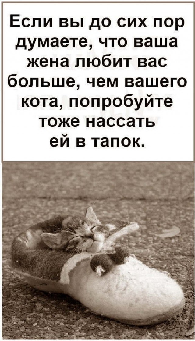Картинки и мемы для настроения 31.03.2021