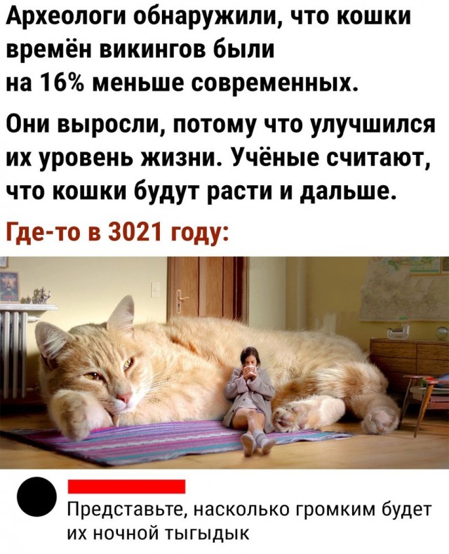 Так себе картинки 20.06.21