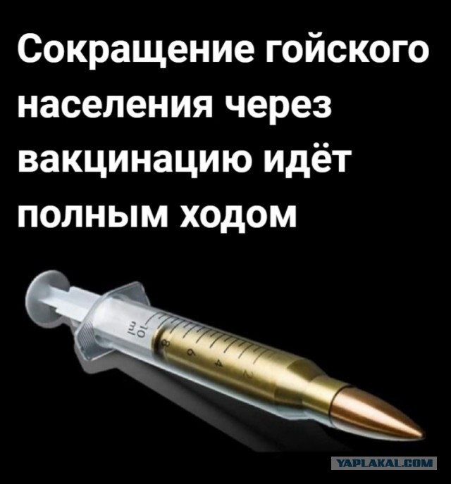 Вакцинация - масштабный эксперимент над людьми