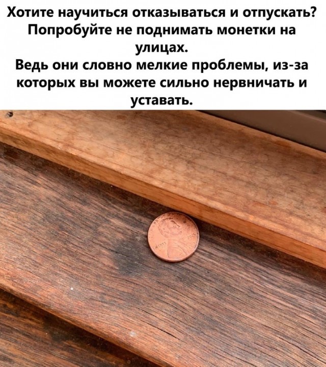 Весёлый полтишок 5.08.21
