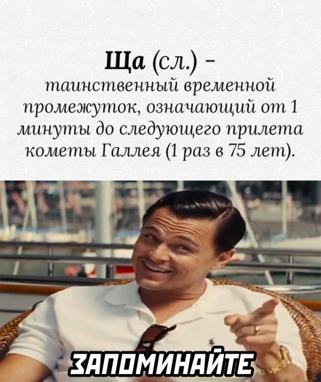Весёлый полтишок 25.10