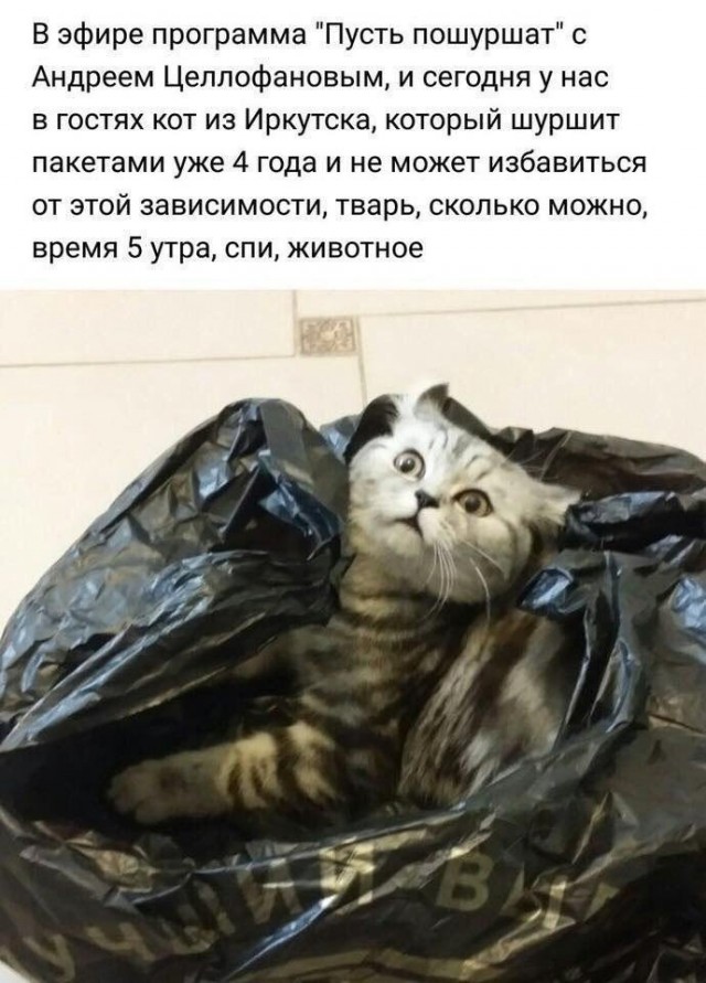 Так себе картинки 20.11.21