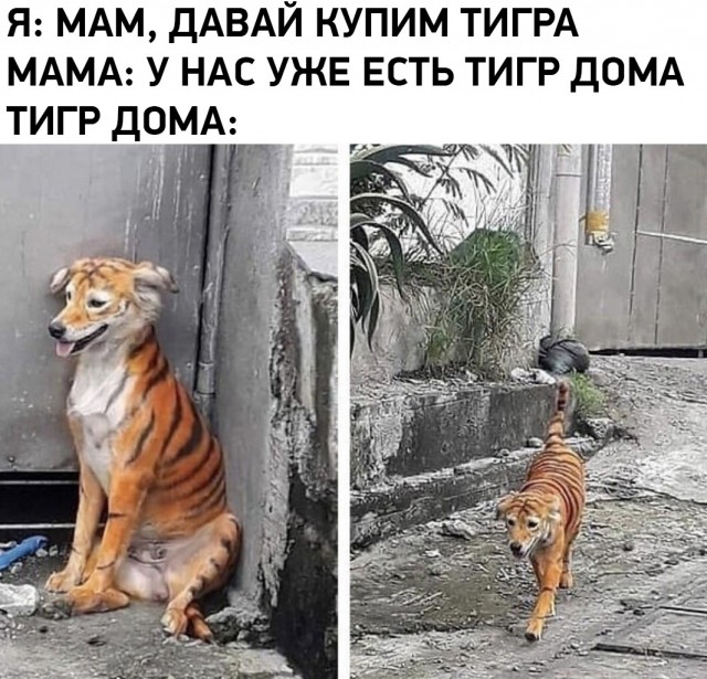 Так себе картинки 05.12.21