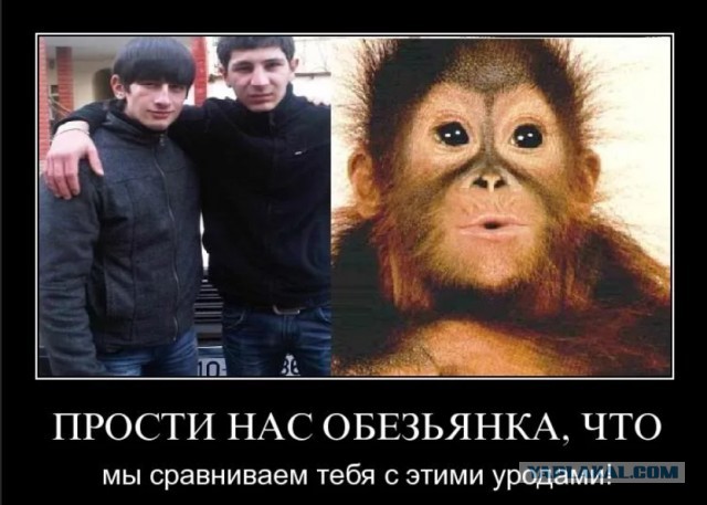 Дагестанцев арестовали и обвинили по самой жесткой части статьи за удушающий прием памятнику погибшим