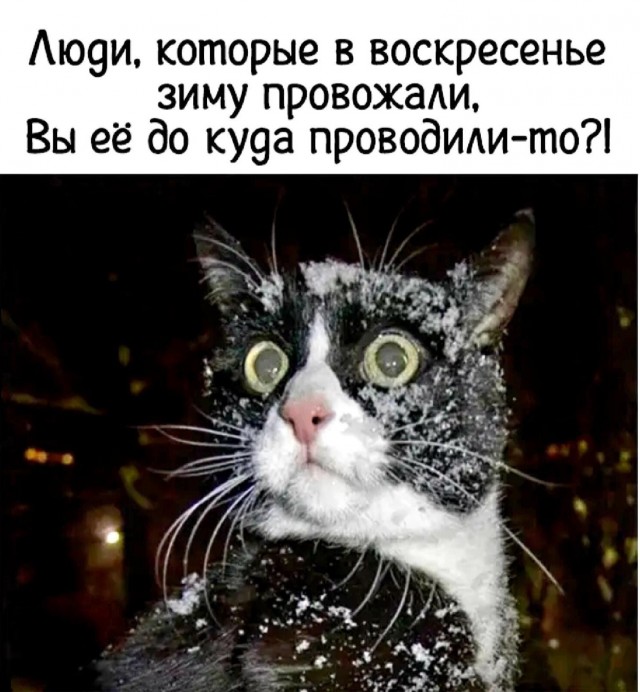 Недалеко видать