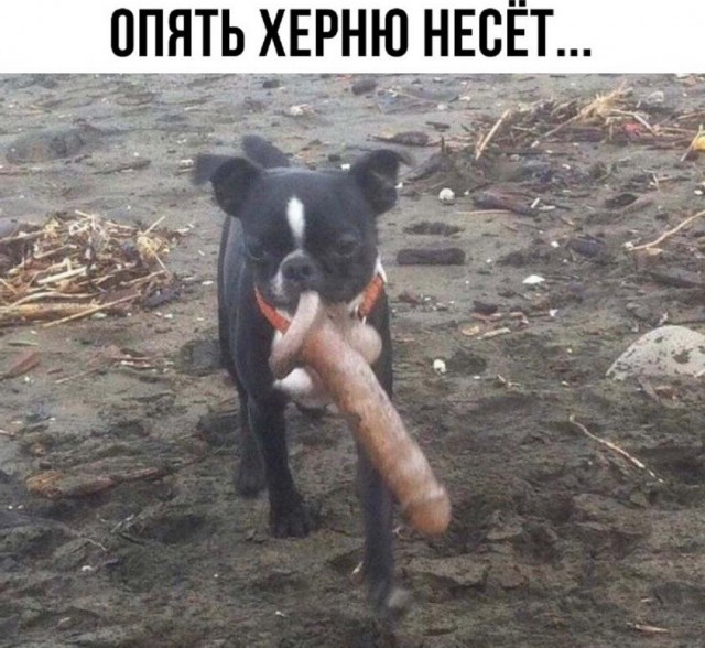 Немного пошлых картинок в ленту