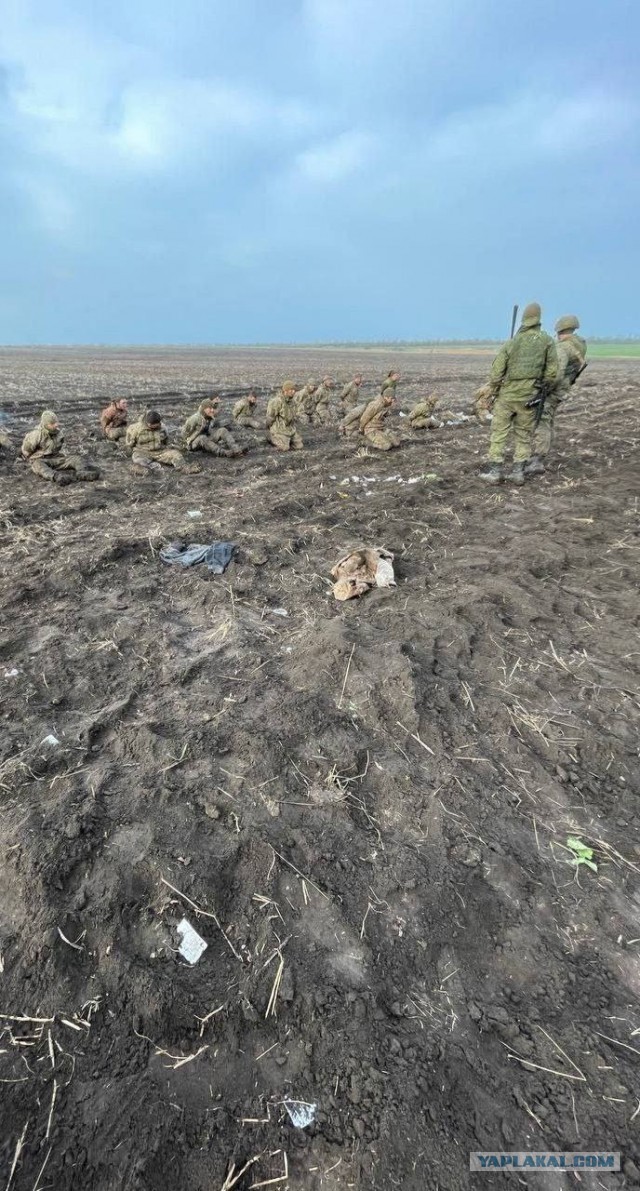 Паламар попросил отпустить боевиков с "Азовстали" ради "праздника Пасхи"