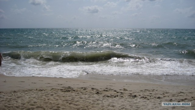 Такой разный остров Самуи