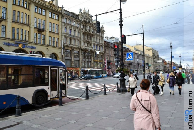 СПб глазами уставшего туриста...