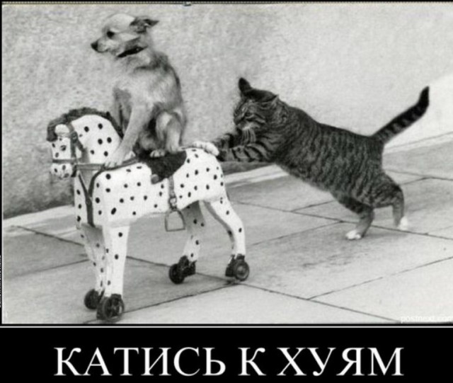 Всех запечатлённых на этом фото уже нет