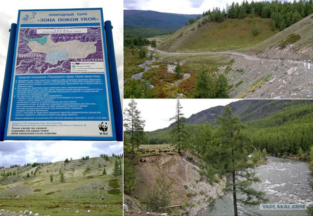 Путешествие на Алтай