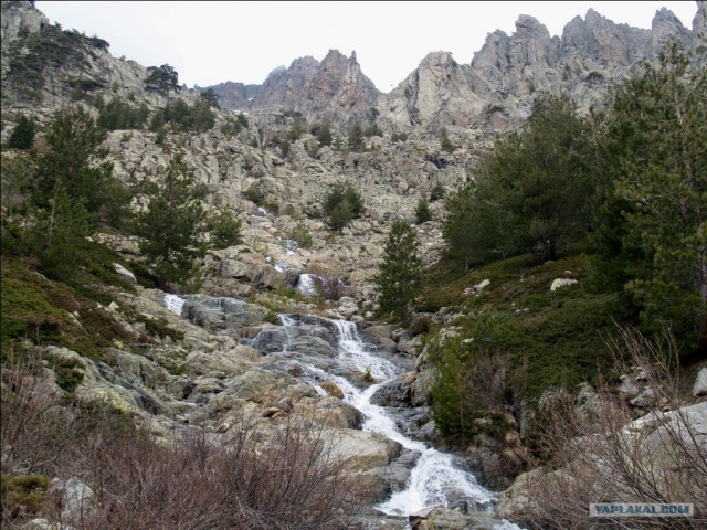 Франция. Корсика.