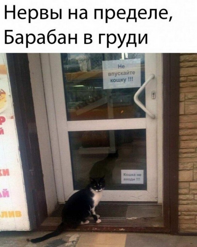 Немного картинок для настроения - 127