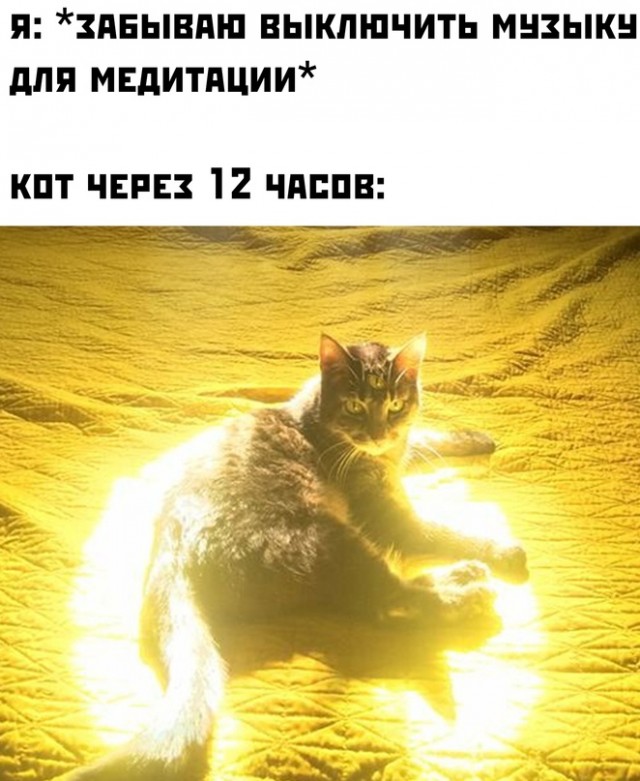 Немного картинок для настроения - 131