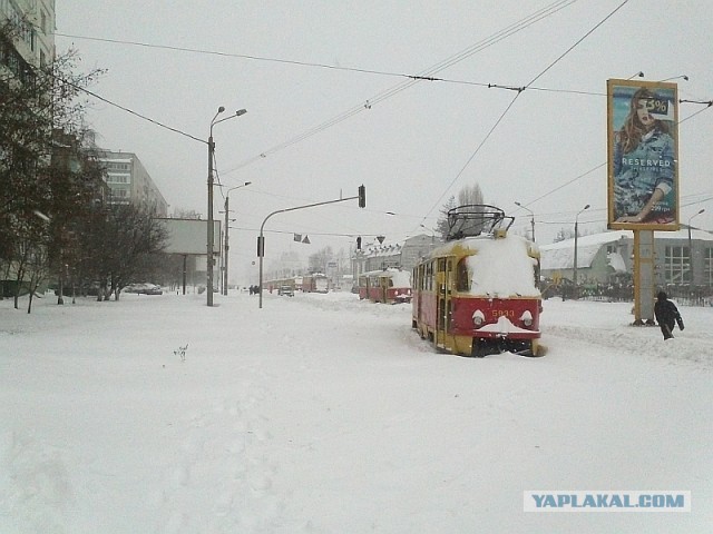 23 марта. Киев. Весна.