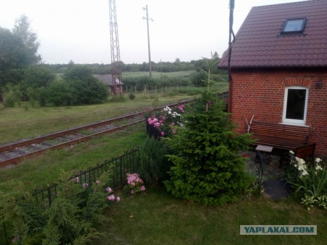 Дорогой, разбуди меня пожалуйста на рассвете