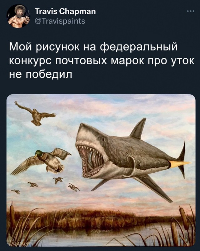 Немного картинок для настроения 07.03.2023
