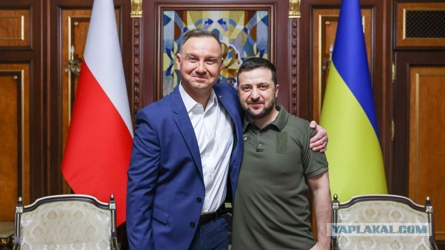 МИД Польши призвал Зеленского извиниться за Волынскую резню