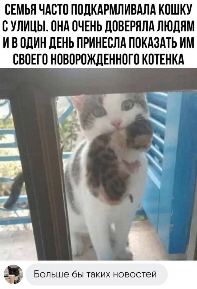 Картинки и мемы, всяко разно - 183