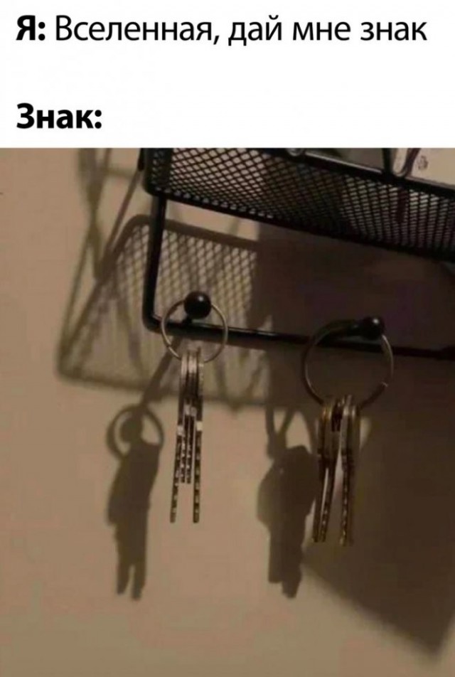 Свеженькие бояны