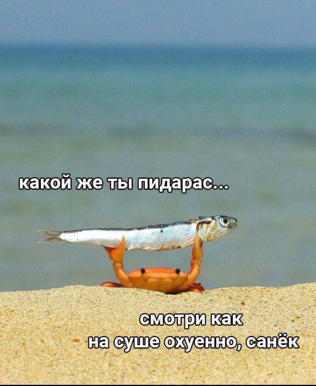 Так себе картинки 09.10.23