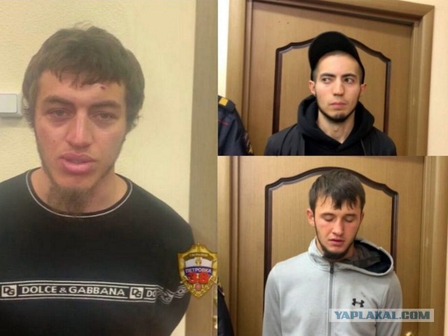 Личная жизнь неандертальцев - какой она была? Ученые сделали неожиданное открытие