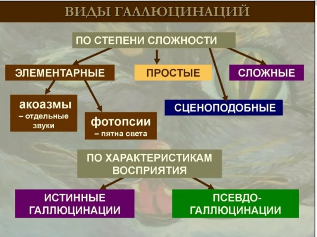 Иллюзия реальности (наша Матрица)
