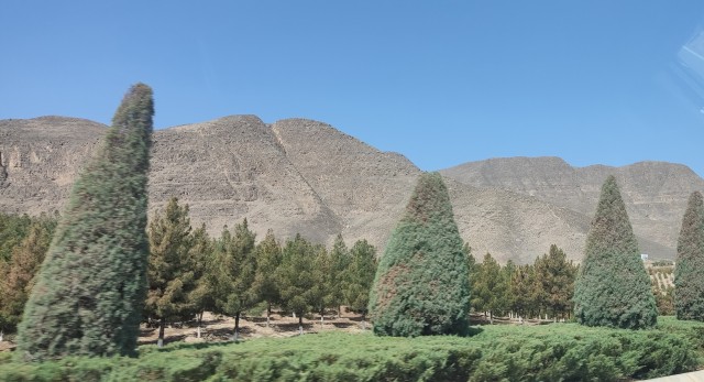 Красивые фото ЯПа