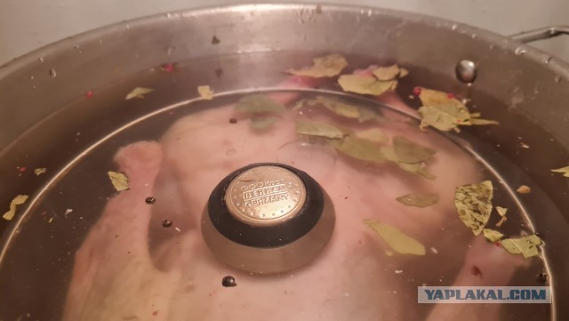 Гусь Новогодний