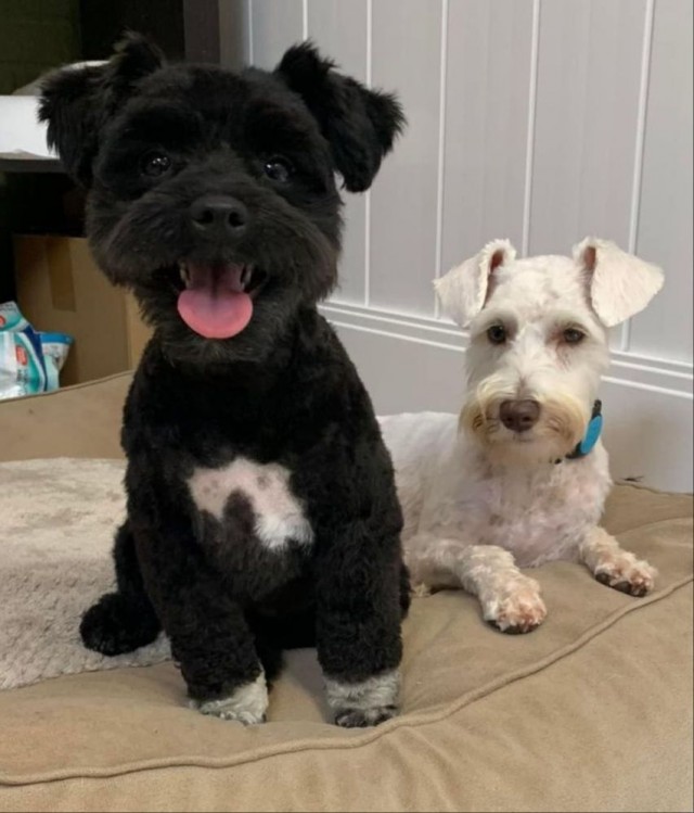 ФотоВинегрет