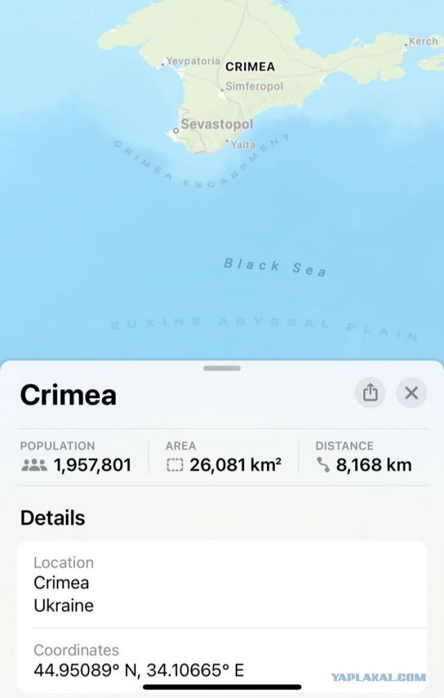 На чей стороне Apple