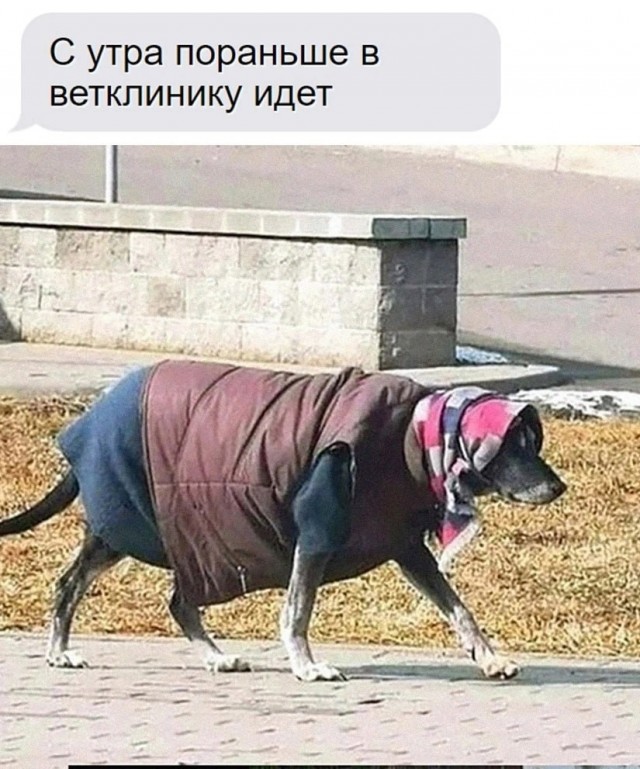 Всего понемногу. От 17.06.2024