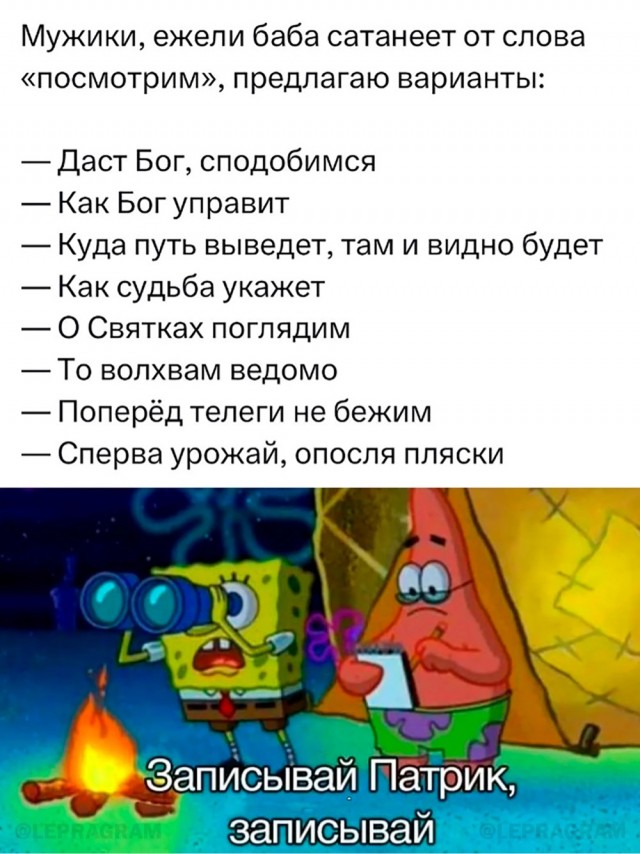 Так себе картинки 01.11.24