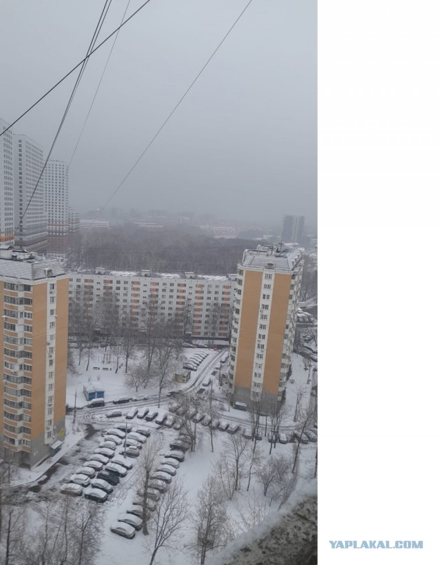 Снегопад, снегопад...