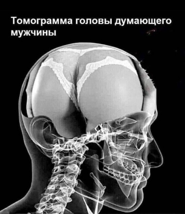 Всего понемногу. От 07.03.2025