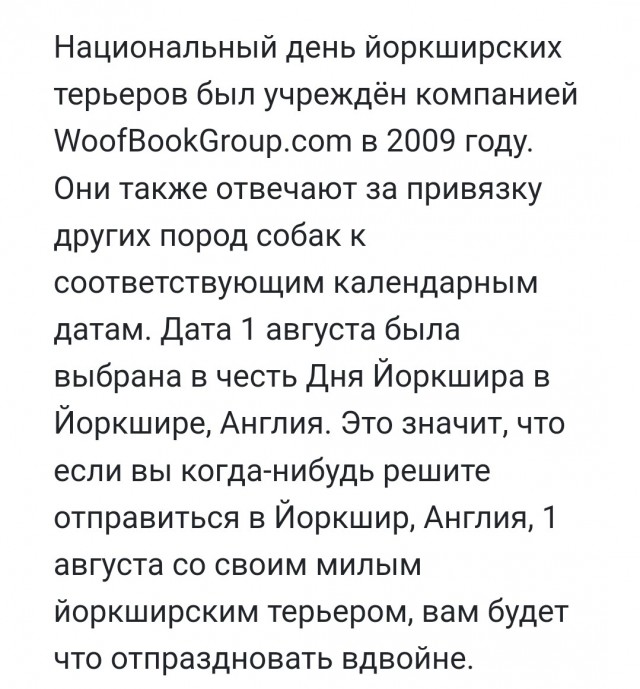 Сегодня День Йорка!
