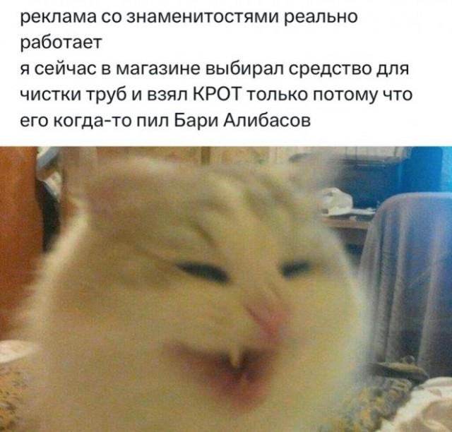 Веселые картинки в маленькую пятницу (16.04)