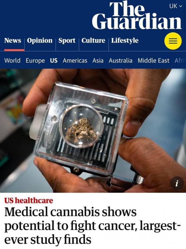 Guardian: Учёные выяснили, что каннабис может лечить рак