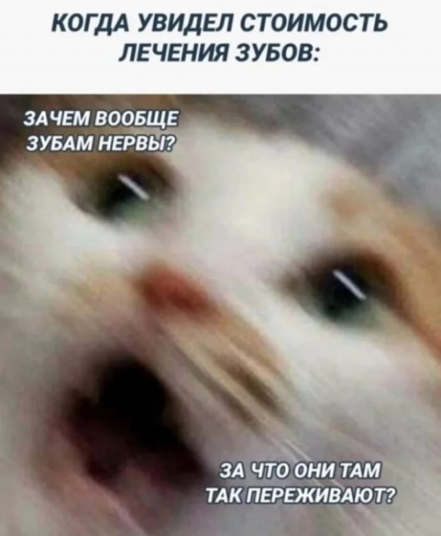 Веселые картинки в пятницу (16.02)